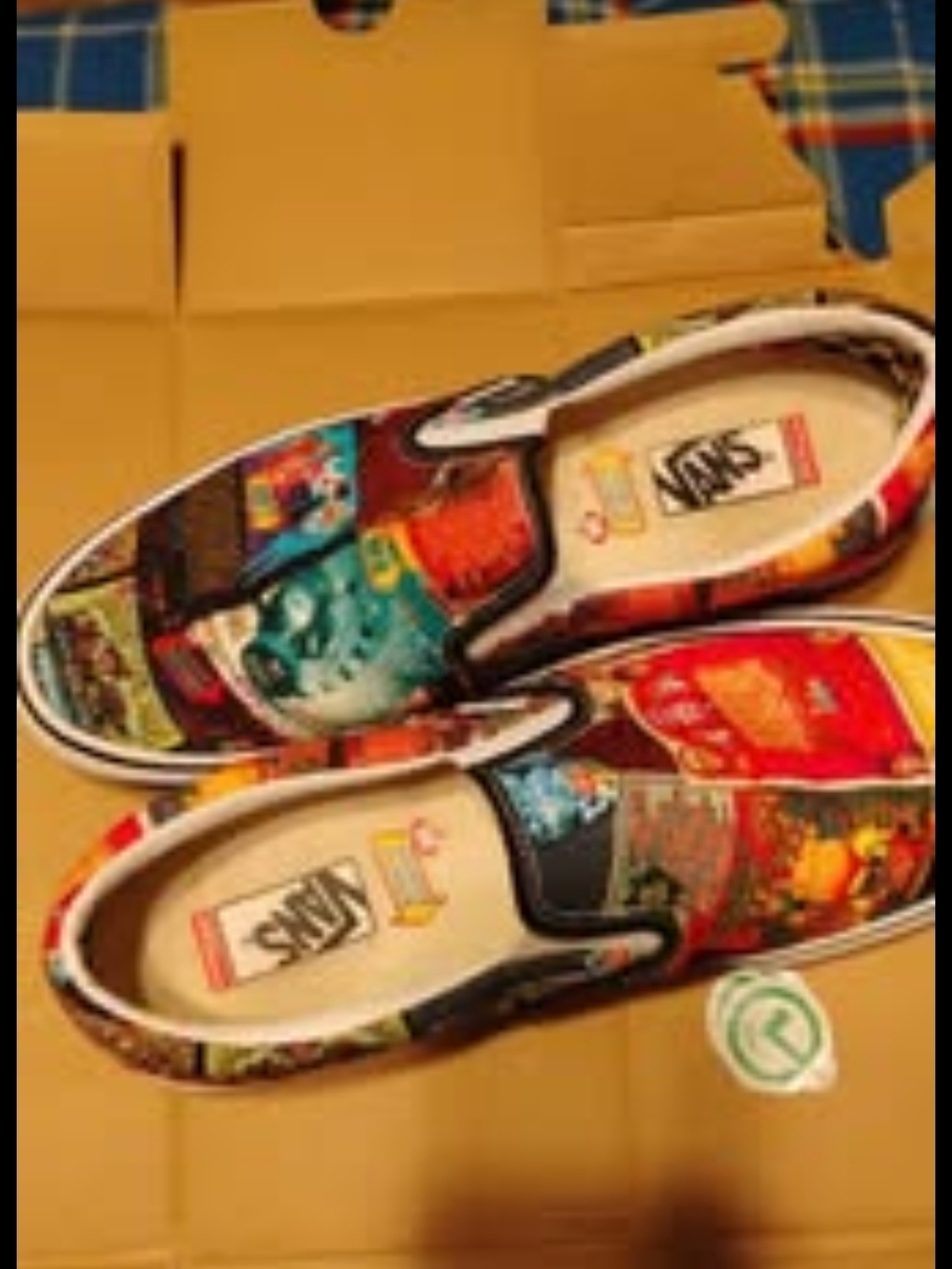 Warped Tour 2025 Limited Edition Vans